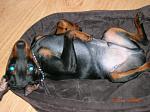     
: DSCN1773.jpg
: 32
:	114.2 
ID:	1852306