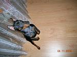     
: DSCN1777.jpg
: 35
:	150.6 
ID:	1852309