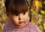     
: P1011129_resize.JPG
: 62
:	110.2 
ID:	1854578