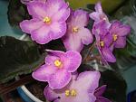     
: DSC00029.jpg
: 13
:	117.3 
ID:	1854813