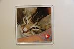     
: IMG_7603.jpg
: 159
:	65.8 
ID:	1856925