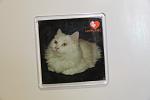     
: IMG_7614.jpg
: 167
:	53.6 
ID:	1856926