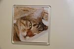     
: IMG_7601.jpg
: 161
:	74.4 
ID:	1856948