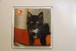     
: IMG_7599.jpg
: 167
:	52.9 
ID:	1856961