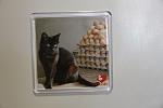     
: IMG_7612.jpg
: 163
:	62.6 
ID:	1856963