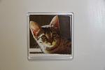     
: IMG_7613.jpg
: 138
:	62.6 
ID:	1856964