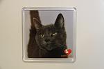     
: IMG_7607.jpg
: 154
:	51.6 
ID:	1856965
