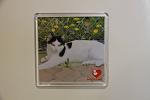     
: IMG_7606.jpg
: 176
:	64.7 
ID:	1856967