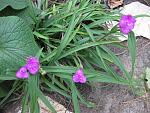     
: IMG_4695.jpg
: 32
:	198.6 
ID:	1857331