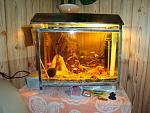     
: DSC00194.jpg
: 47
:	173.8 
ID:	1859309