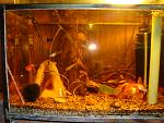     
: DSC00189.jpg
: 48
:	165.7 
ID:	1859317