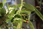     
: IMG_0802.jpg
: 11
:	152.8 
ID:	1860726
