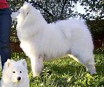     
: nord%202%20039-2.jpg
: 36
:	287.8 
ID:	1860915