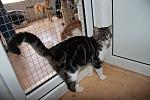     
: IMG_7530.jpg
: 35
:	114.6 
ID:	1862807