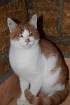     
: IMG_7518.jpg
: 32
:	60.7 
ID:	1862811