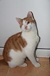    
: IMG_7536.jpg
: 34
:	50.6 
ID:	1862813
