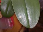     
: 091120101063[1].jpg
: 19
:	82.4 
ID:	1865372