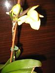     
: IMG_2011.jpg
: 64
:	71.8 
ID:	1868171