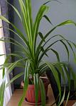     
: DSC07434.JPG
: 7
:	44.4 
ID:	1869503