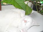     
: SDC12633.jpg
: 15
:	73.3 
ID:	1870875