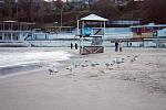     
: IMG_5745.jpg
: 47
:	157.6 
ID:	1871205