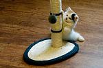     
: _MG_5955_.jpg
: 18
:	22.8 
ID:	1872206