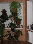     
: Rotation of IMG_2212.jpg
: 209
:	100.7 
ID:	1874136