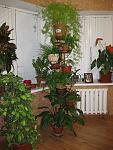     
: Rotation of IMG_2249.jpg
: 239
:	134.8 
ID:	1874137