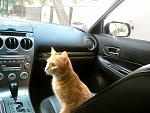     
: 88cd24af724bb74c-large.jpg
: 114
:	112.1 
ID:	1874178