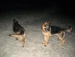     
: DSCN0055.jpg
: 48
:	107.2 
ID:	1876884