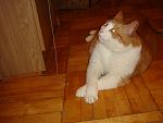     
: DSC02706.jpg
: 98
:	97.3 
ID:	1876940