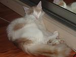     
: DSC01368.jpg
: 36
:	76.0 
ID:	1877037