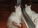     
: DSC01365.jpg
: 46
:	85.6 
ID:	1877038
