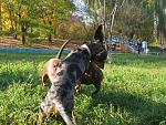     
: IMG_7238.jpg
: 26
:	303.7 
ID:	1877194