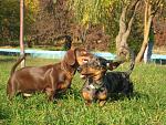     
: IMG_7244.jpg
: 30
:	200.6 
ID:	1877196