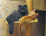     
: IMG_6632.jpg
: 112
:	40.5 
ID:	1877865
