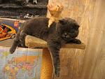     
: IMG_6599.jpg
: 97
:	37.8 
ID:	1877866