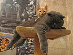     
: IMG_6598.jpg
: 100
:	293.4 
ID:	1877867
