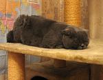     
: IMG_6634.jpg
: 92
:	289.2 
ID:	1877871