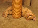     
: IMG_6619.jpg
: 82
:	298.1 
ID:	1877872