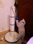     
: 18112008(007).jpg
: 26
:	53.1 
ID:	188073