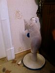     
: 18112008(011).jpg
: 20
:	41.5 
ID:	188076