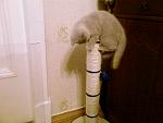     
: 18112008(012).jpg
: 28
:	65.5 
ID:	188077