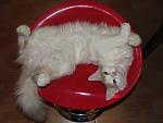     
: DSC01372.jpg
: 39
:	84.6 
ID:	1881859
