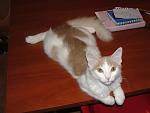     
: DSC01364.jpg
: 45
:	76.4 
ID:	1881900