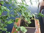     
: IMG_0167.jpg
: 19
:	169.6 
ID:	1883090