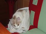     
: DSC01361.jpg
: 17
:	61.6 
ID:	1884022