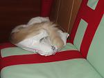     
: DSC01362.jpg
: 26
:	69.9 
ID:	1884023