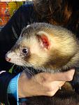     
: DSC09923.JPG
: 49
:	136.1 
ID:	1884042