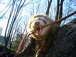     
: DSC09941.JPG
: 59
:	203.1 
ID:	1884045